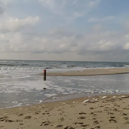 Leeuwwitje Holiday home *